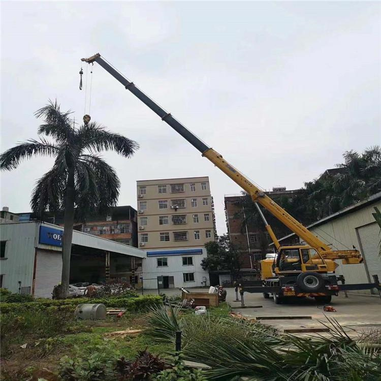 沙县吊车出租的费用解析：你不可不知的行业秘密
